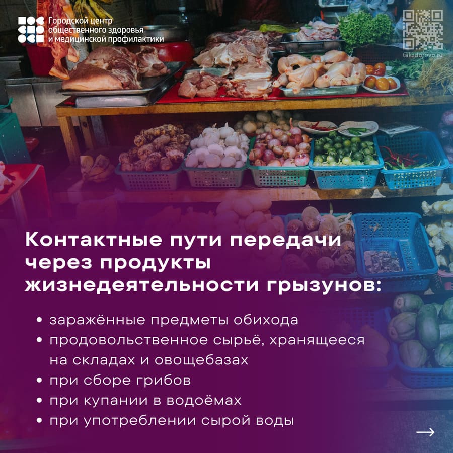 Контактные пути передачи через продукты жизнедеятельности грызунов.